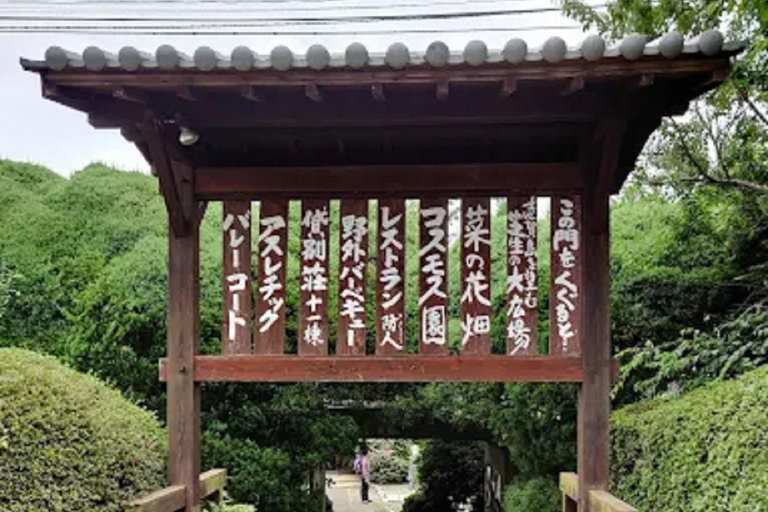 Fukuoka:Nokonoshima Island Day Trip with Tour Guide& Driver