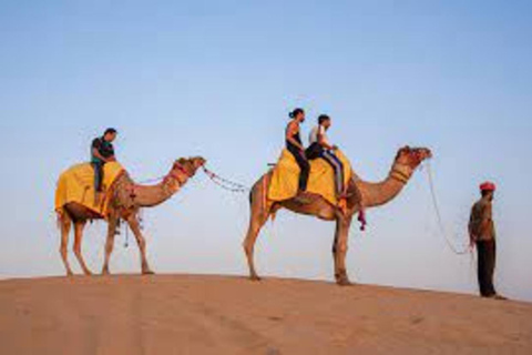 Depuis Jodhpur : Osian Desert Camp avec safari à dos de chameau ou en jeep