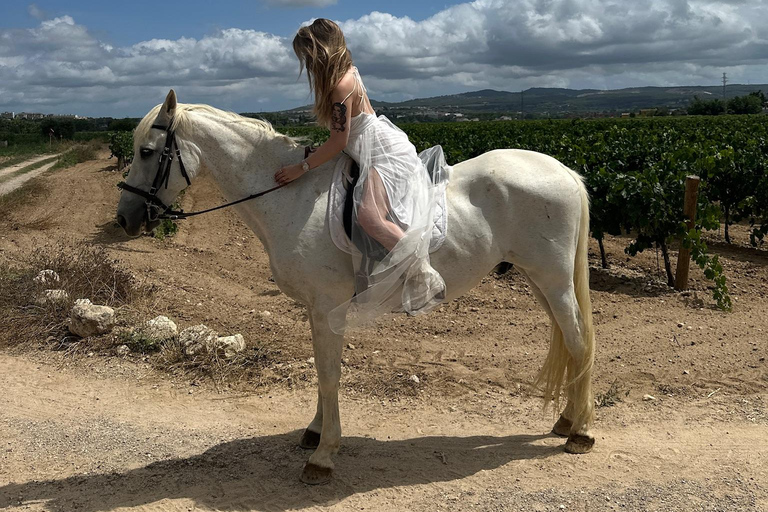 Alicante: przejażdżka konna po górach Maigmó, piknik i transferAlicante: Wycieczka konna na górę Maigmó, piknik i transfer