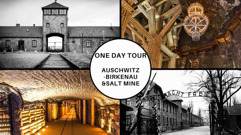 Fra Kraków: Heldagstur til Auschwitz-Birkenau og Wieliczka saltgruve