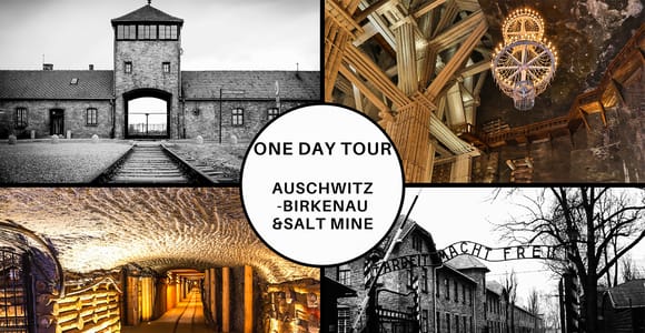 Krakow: Full-Day Auschwitz-Birkenau & Salt Mine Guided Tour