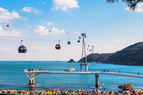 Busan: Excursão guiada de um dia com tema K-drama, café com animais de estimação e piqueniqueBusan: Excursão guiada de um dia com café para animais de estimação e piqueniqu