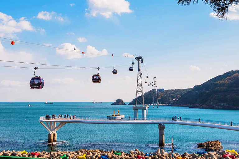 Busan: Excursão guiada de um dia com tema K-drama, café com animais de estimação e piqueniqueBusan: Excursão guiada de um dia com café para animais de estimação e piqueniqu