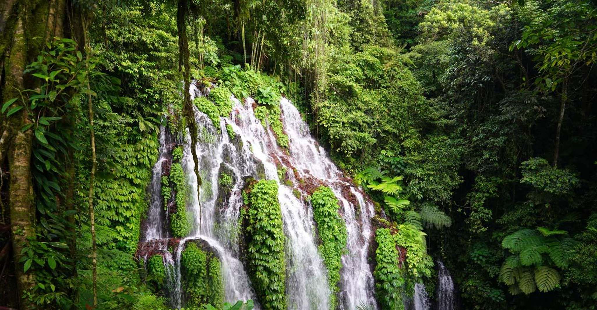 Munduk, Banyu Wana & Sekumpul Waterfall Trekking with lunch - Housity