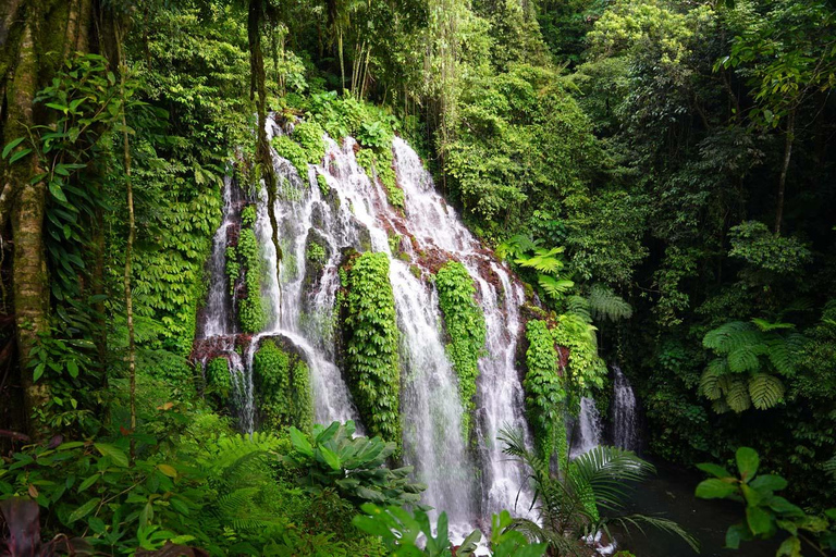 Munduk: Banyu Wana & Sekumpul-watervaltrekking met lunchTour met ophalen vanuit Munduk Area