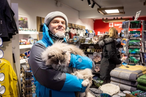 Reykjavik: piesza wycieczka po mieście skoncentrowana na kotach