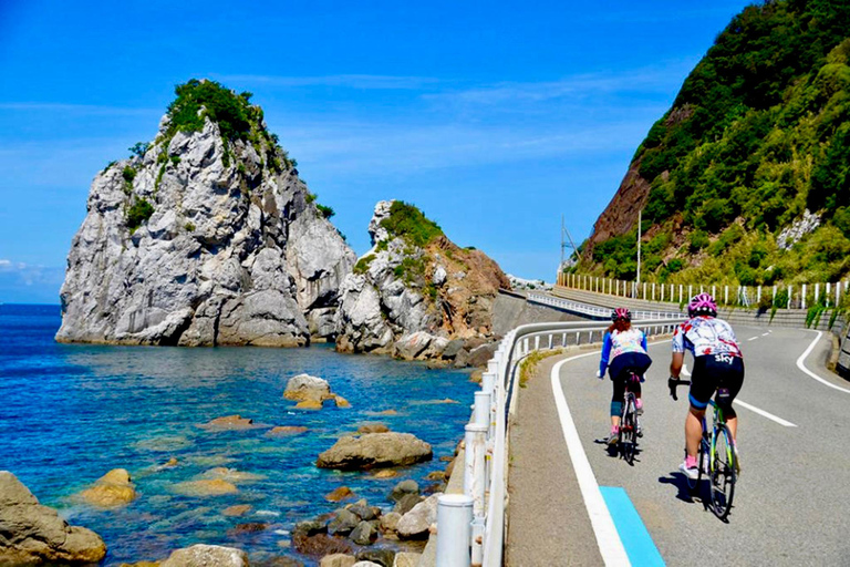 Wakayama: Mt. Koya, Kumano Kodo & Nachi Falls Private Tour