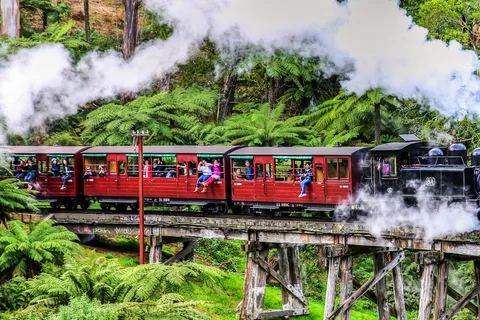Melbourne: Puffing Billy & Healesville Sanctuary Scenic Tour