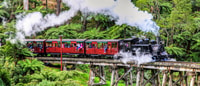 Melbourne, Puffing Billy & Healesville Sanctuary Scenic Tour - Housity