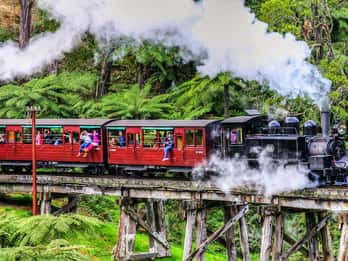 Melbourne: Puffing Billy & Healesville Sanctuary Scenic Tour