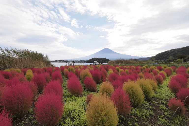 From Tokyo: Mount Fuji Full-Day Customized Private Tour Tour in Luxury Toyota Crown for up to 3 People