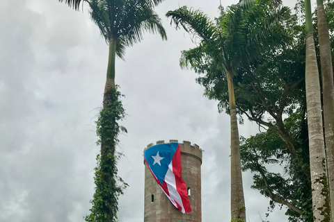 El Yunque Rainforest: EZ-Going Bus Tour (Accessible)