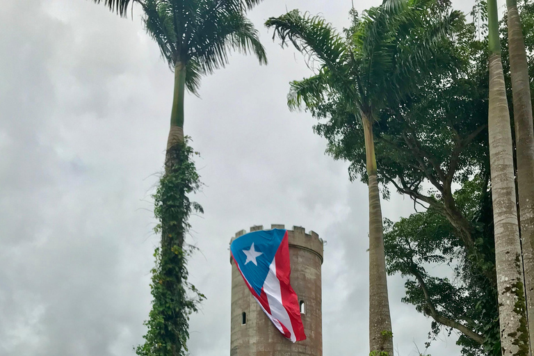 El Yunque Rainforest: EZ-Going Bus Tour (Accessible)