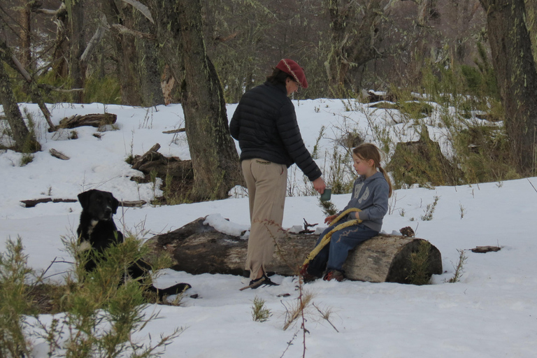 San Martín de los Andes: Private 4x4 Snow Forest Tour