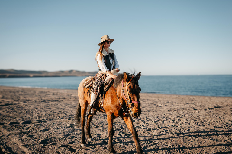 La Paz: Scenic Beach Horseback Ride