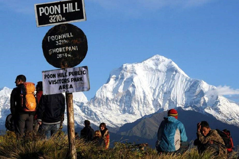 Z Pokhary: 3-dniowa prywatna wędrówka po Poon Hill z pełnymi posiłkamiPokhara: 3-dniowa wędrówka do Ghorephani i PoonHill z pełnymi posiłkami