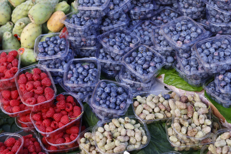 丹吉尔：犹太遗产私人观光之旅，参观犹太教堂丹吉尔：犹太遗产私人观光之旅（含犹太教堂）