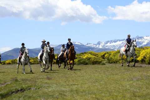 Valladolid: Horseback Riding Tour through Countryside