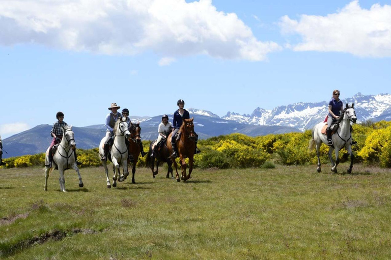Valladolid: Horseback Riding Tour through Countryside