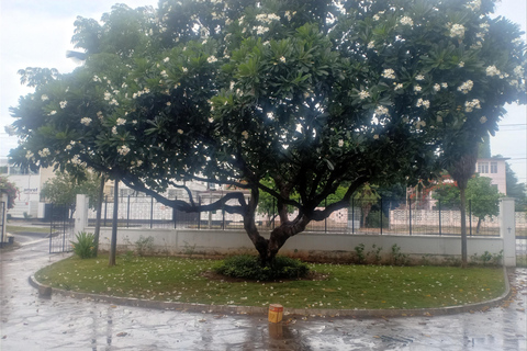 Dar es Salaam: Experience the real Dar es Salaam (City Tour)