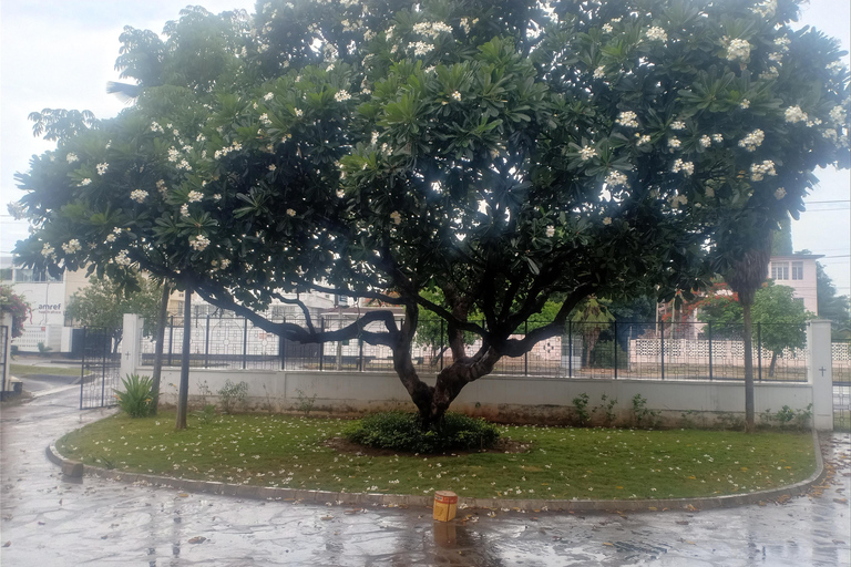 Dar es Salaam: Experience the real Dar es Salaam (City Tour)