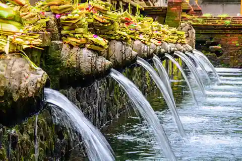 Bali: Excursão de um dia ao terraço de arroz, cascata e templo de água