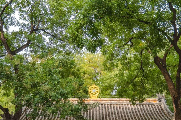 Tour a piedi degli hutong di Pechino: Storia, cultura e vita locale