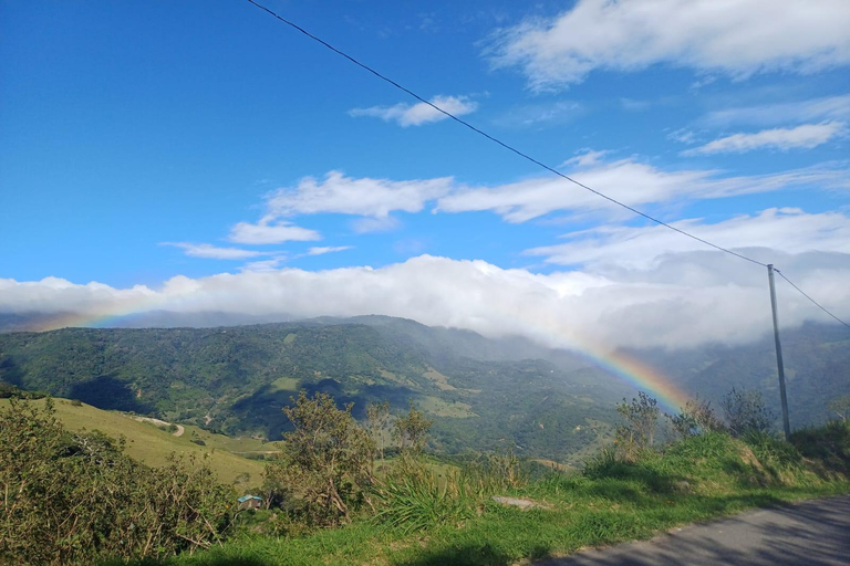 Costa Rica: Arenal, Monteverde, and Manuel Antonio Tour