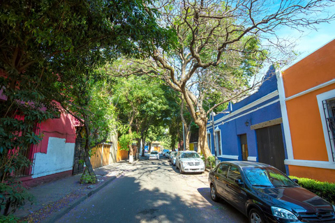 Full-day private tour from Mexico city to Coyoacán German Guided Tour