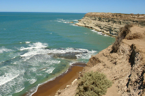 Valdes Peninsula: Full Day with Whale Watching Full Day Peninsula Valdes with Whale Watching