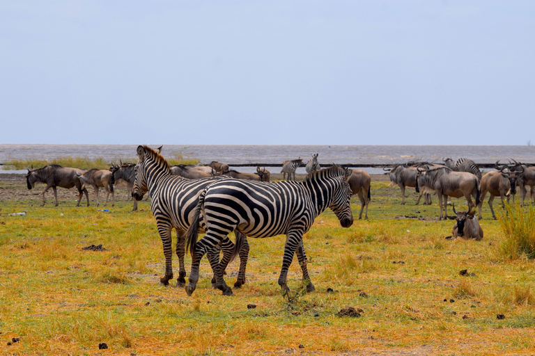 Viaggio di due giorni al Lago Manyara con canoa e passerella tra le cime degli alberiCampeggio a Karatu