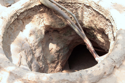 Max 14: Discover Cu Chi Tunnels System & Mekong Delta Private Group Tour