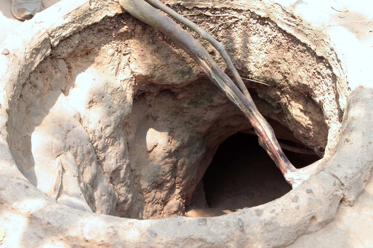 Max 14: Discover Cu Chi Tunnels System & Mekong Delta Private Group Tour
