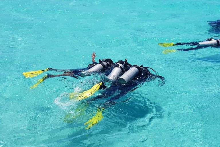 Wasini Island Dolphin Tour with Snorkeling & Lunch