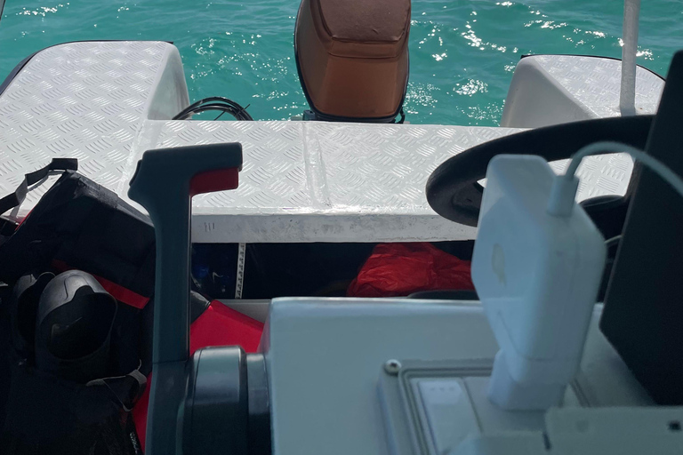 Nurkowanie z rurką w Kizimkazi i wycieczka na piaszczystą łachę (cały dzień)