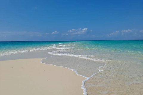 Pungume Island, Pungume Beach, sandbank BBQ och snorklingPungume-ön, Pungume-stranden, sandbank BBQ och snorkling