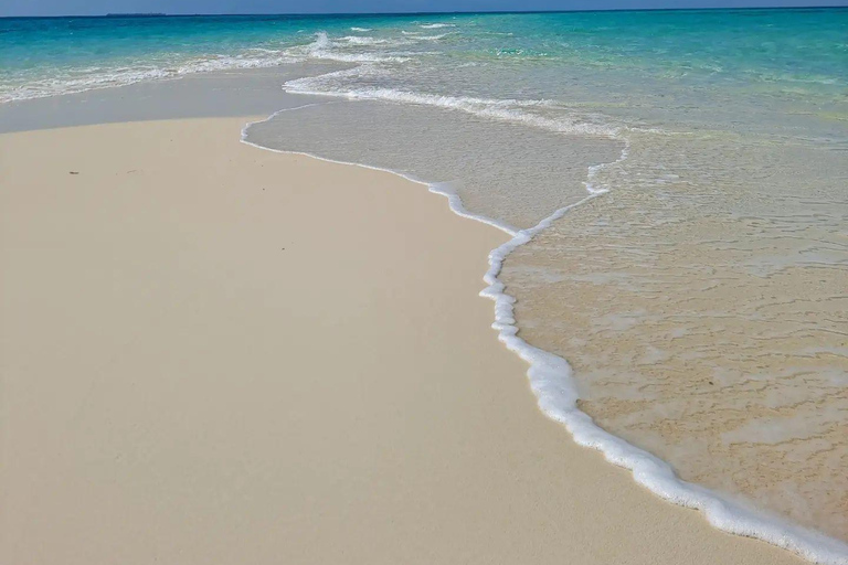 Pungume Island, Pungume Beach, sandbank BBQ och snorklingPungume-ön, Pungume-stranden, sandbank BBQ och snorkling