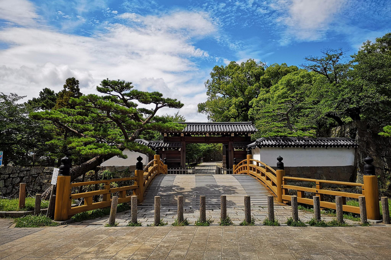 Tour Privado Personalizado Autoguiado de Un Día en Wakayama