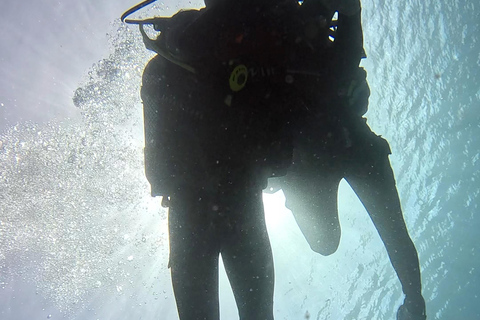 Bautismo de buceo en Puerto de Carmen 2 Inmersiones. Fotos gratis