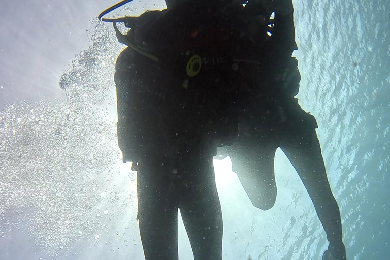 Diving baptism in Puerto de Carmen 2 Dives. Free photos