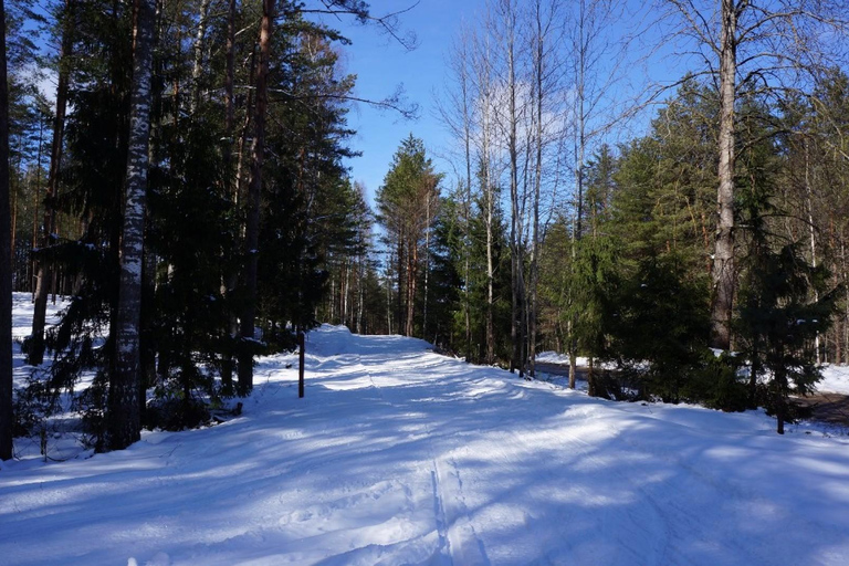 From Riga: Cross-country skiing and beating heart memorial Cross country skiing and continious beating heart memorial