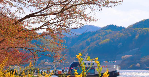 Seoul: Insel Nami, Garten und Petite France (optional Schienenfahrrad)