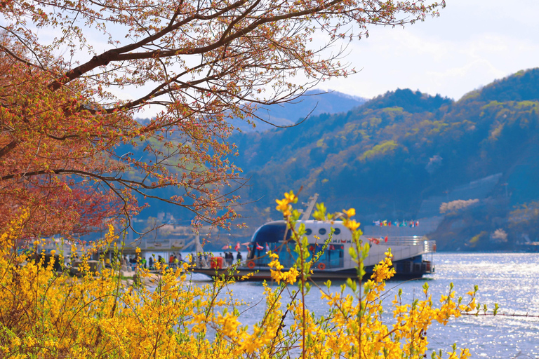 Seoul: Hwadam Botanischer Garten & Nami Island Blumen TagestourNami & Railbike Tour, Treffen am Hongik Uni. Bahnhof