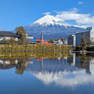Mt.Fuji Private tour by car with pick and drp from Tokyo
