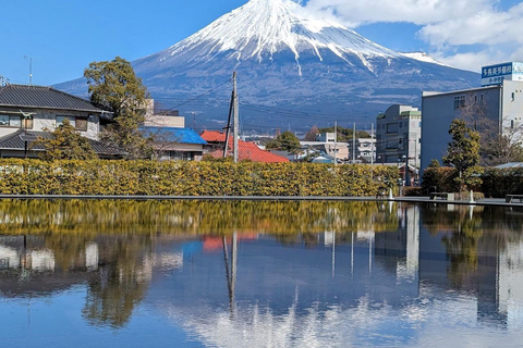 Mt.Fuji Private tour by car with pick and drp from Tokyo Tokyo Private1-Day MT Fuji by Charter by driver