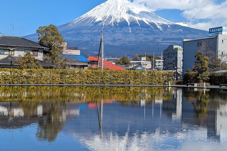 Mt.Fuji Private tour by car with pick and drp from Tokyo Tokyo Private1-Day MT Fuji by Charter by driver