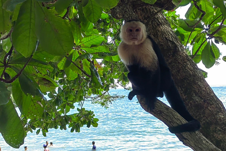 From San José To Manuel Antonio national Park Guided tour