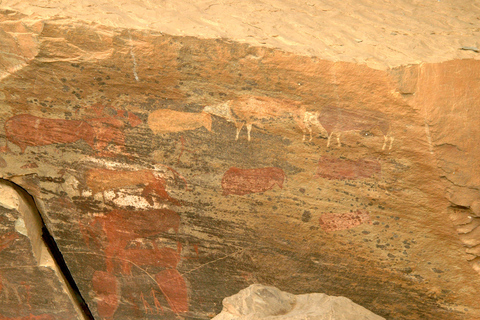 Von Durban aus: Tour zu den Drakensbergen und den Howick FallsVon Durban aus: Tour zu den Drakensbergen und den Howick-Wasserfällen