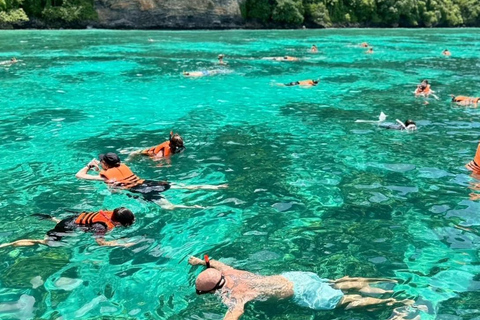 Phuket: Phi Phi Islands Speedboat Tour with Lunch