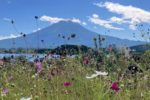 From Tokyo: Mount Fuji Sightseeing Private Group TourToyota Hiace for Up to 9 Persons Private Group Tour